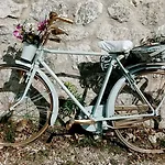 露恩西尼旅馆 乡村民宿 *