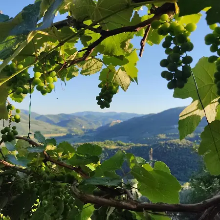 Séjour à la campagne Runcini Ferentillo