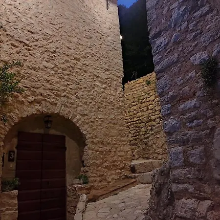 Runcini Ferentillo