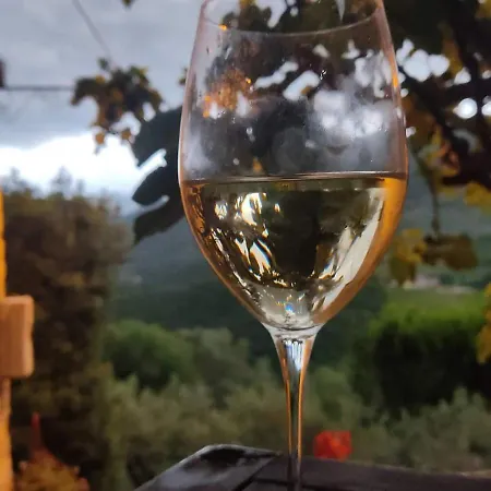 Runcini Casa rural