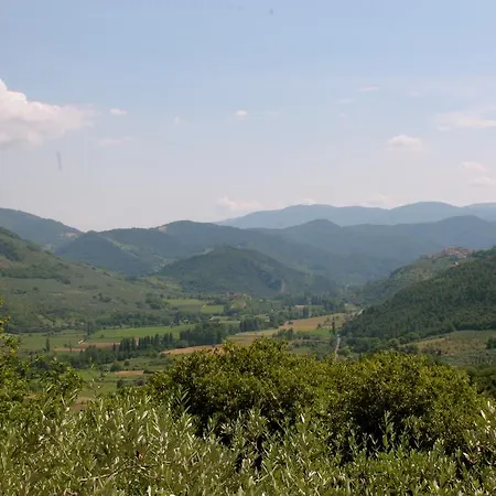Runcini Ferentillo