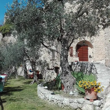 Runcini