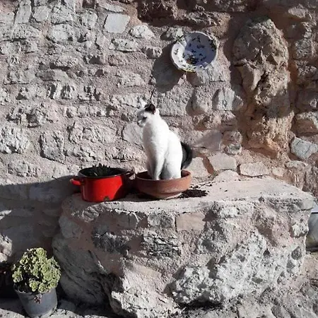 露恩西尼旅馆 乡村民宿 Ferentillo