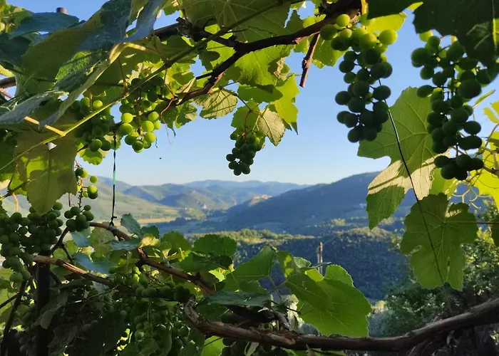 Casa di campagna Runcini Ferentillo