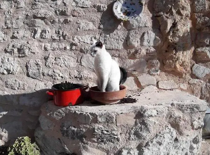 Runcini Casa di campagna Ferentillo